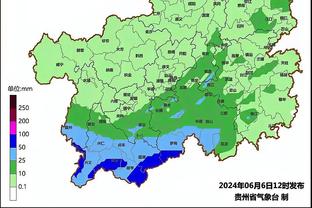 球迷17分钟被阿森纳打跑？谢菲联主帅：我能理解……